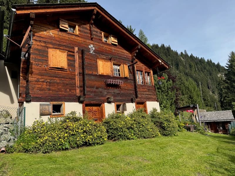 Summer Chalet and its Mazot / La Coûte (Hérémence) / EXCLUSIVITY (3)