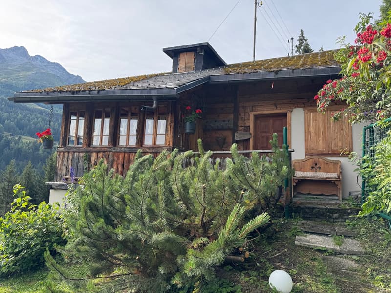 Summer Chalet and its Mazot / La Coûte (Hérémence) / EXCLUSIVITY (5)