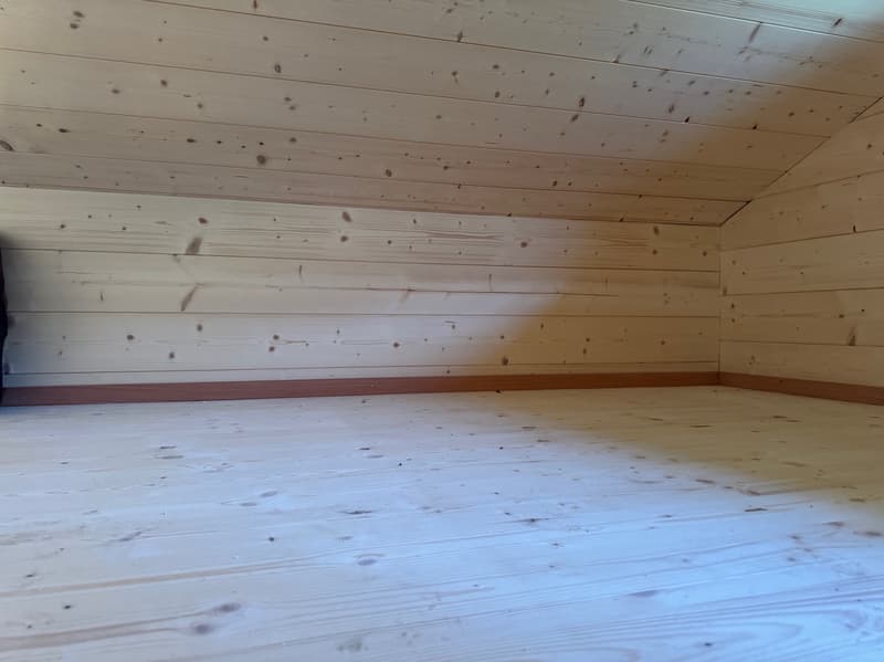 Renovated Raccard (1795) (Summer Chalet) / La Luette / RARE - EXCLUSIVITY (10)