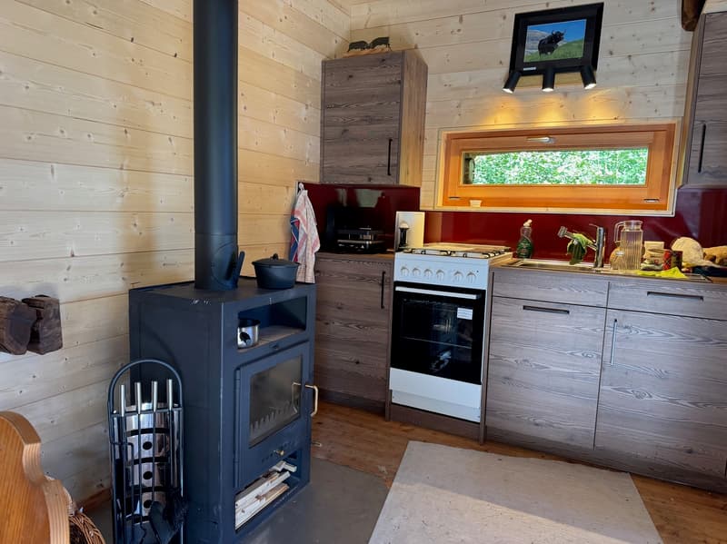 Renovated Raccard (1795) (Summer Chalet) / La Luette / RARE - EXCLUSIVITY (4)