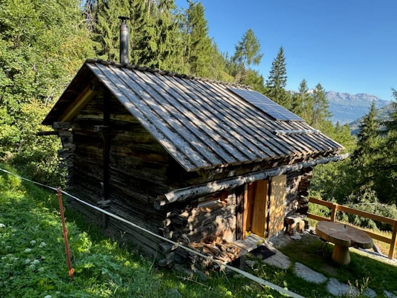 Renovated Raccard (1795) (Summer Chalet) / La Luette / RARE - EXCLUSIVITY (13)