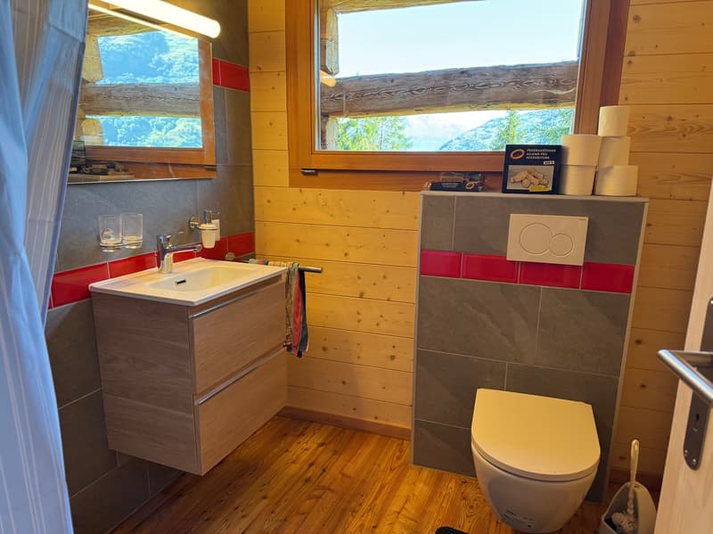 Renovated Raccard (1795) (Summer Chalet) / La Luette / RARE - EXCLUSIVITY (11)