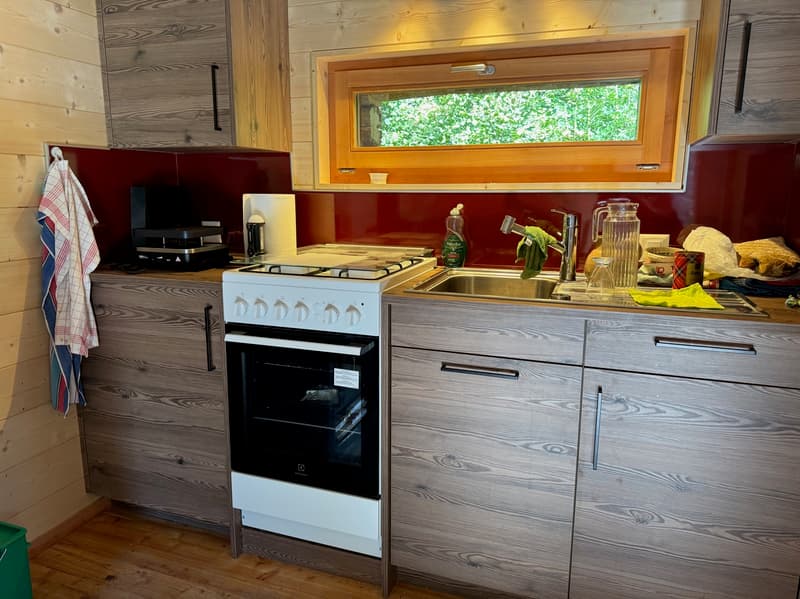 Renovated Raccard (1795) (Summer Chalet) / La Luette / RARE - EXCLUSIVITY (5)