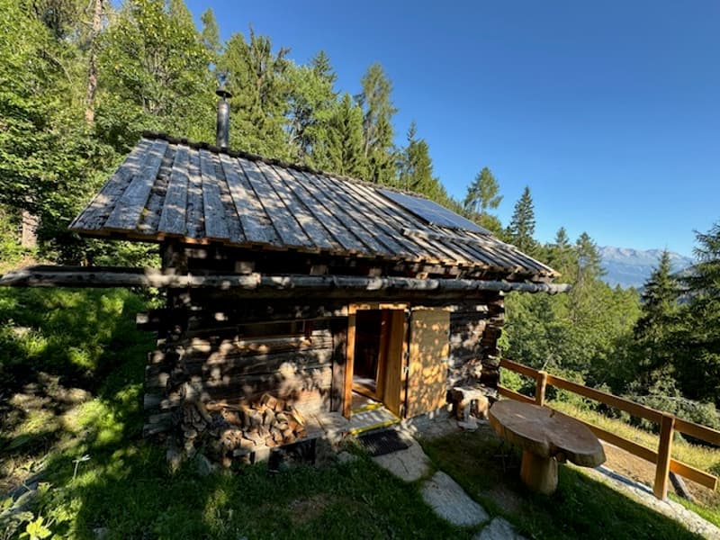 Renovated Raccard (1795) (Summer Chalet) / La Luette / RARE - EXCLUSIVITY (12)