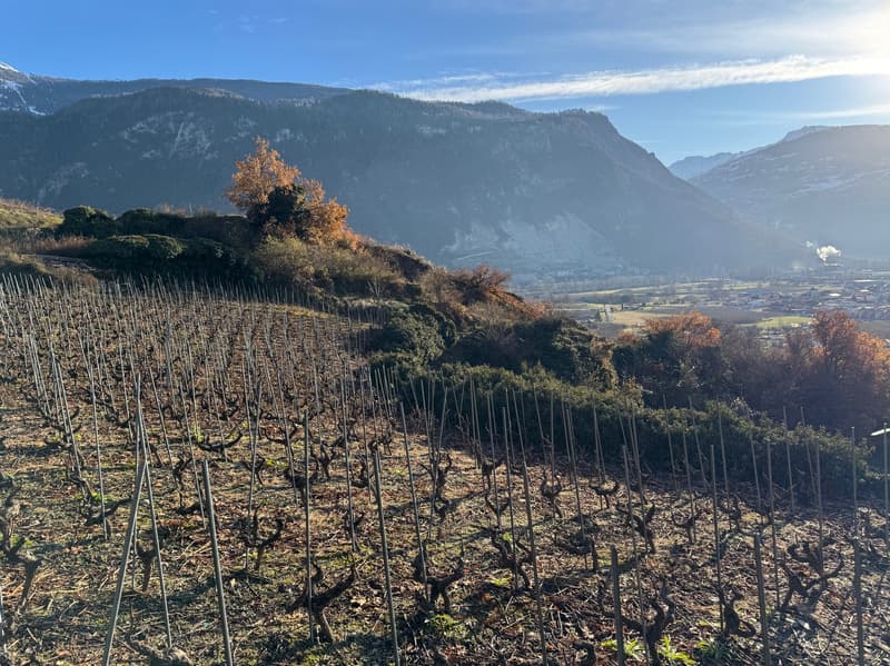 Land / St-Léonard / Non-divisible! / EXCLUSIVITY / ref. 10245452 (5)