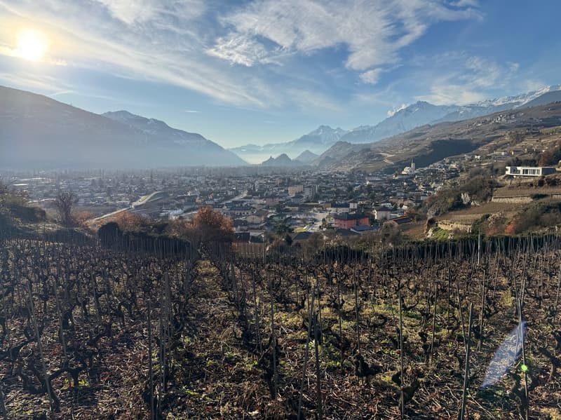 Land / St-Léonard / Non-divisible! / EXCLUSIVITY / ref. 10245452 (2)