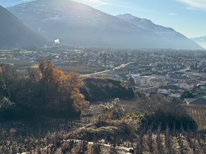 Land / St-Léonard / Non-divisible! / EXCLUSIVITY / ref. 10245452 (4)
