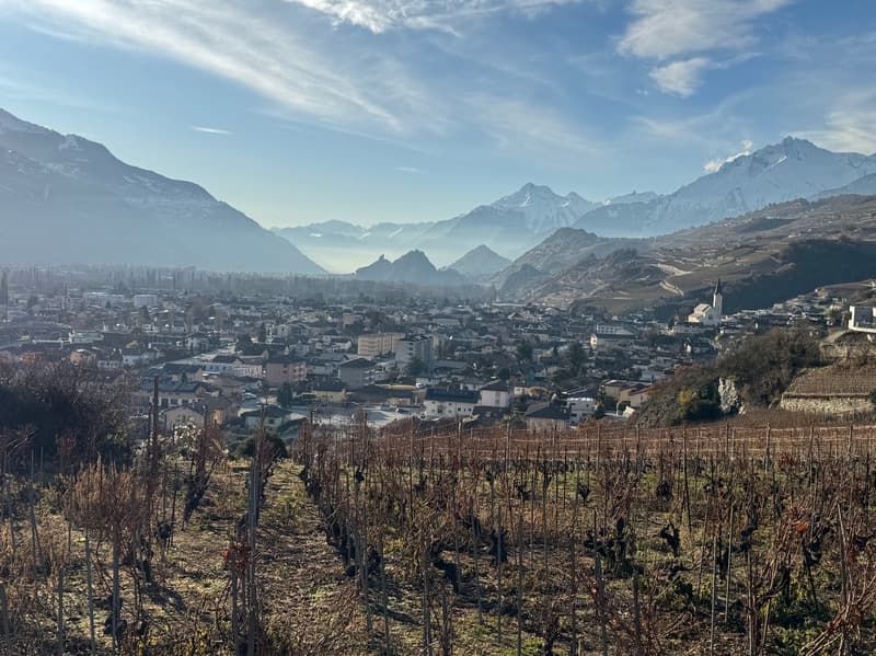 Land / St-Léonard / Non-divisible! / EXCLUSIVITY / ref. 10245452 (3)