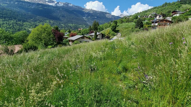 Terreno - 809 m2 - Icogne - ESCLUSIVA - ref. 10245445 (5)