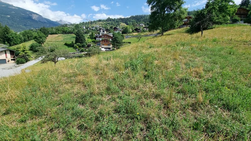 Terreno - 809 m2 - Icogne - ESCLUSIVA - ref. 10245445 (3)