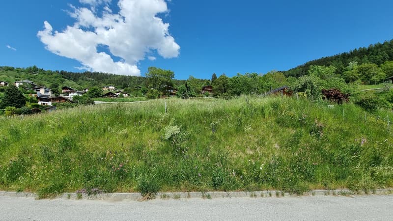 Terreno - 809 m2 - Icogne - ESCLUSIVA - ref. 10245445 (6)