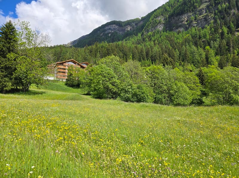 Terreno - 953 M2 - Leukerbad - riferimento 10245442 (2)