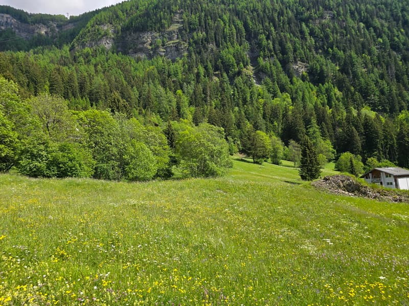 Terreno - 953 M2 - Leukerbad - riferimento 10245442 (3)