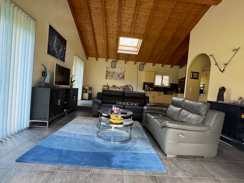 Villa - 4,5 locali - Terreno 1'200 m2 - ESCLUSIVITA' (12)