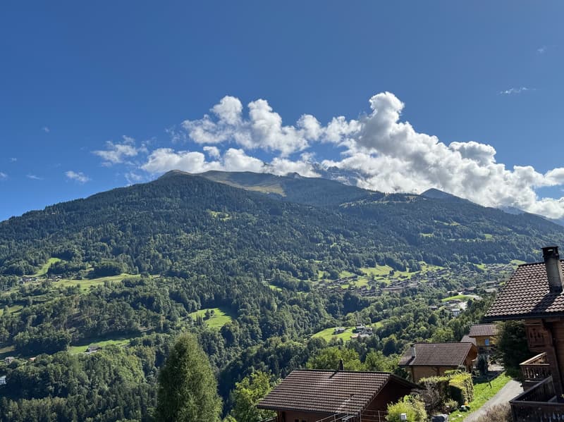 Chalet - 4,5 locali - Chemex (Troistorrents) - ESCLUSIVA (9)