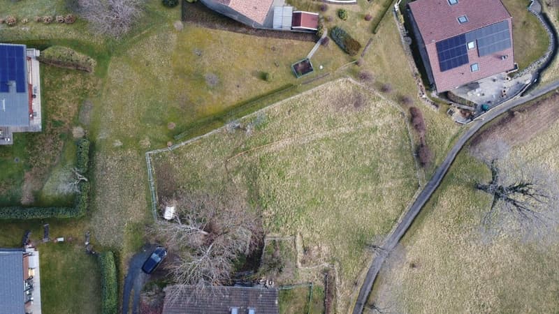 Land / Les Neyres / Free of mandate / EXCLUSIVITY (6)