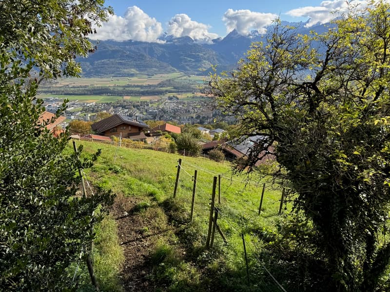 Land / Les Neyres / Free of mandate / EXCLUSIVITY (3)