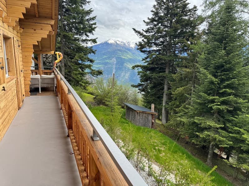 Chalet - 2 apartments - Ovronnaz - EXCLUSIVITY - ref. 10247725 (3)