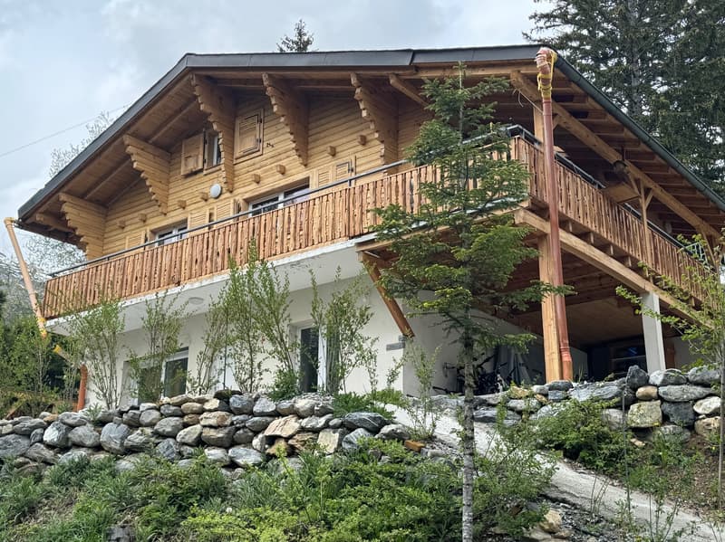 Chalet - 2 apartments - Ovronnaz - EXCLUSIVITY - ref. 10247725 (1)