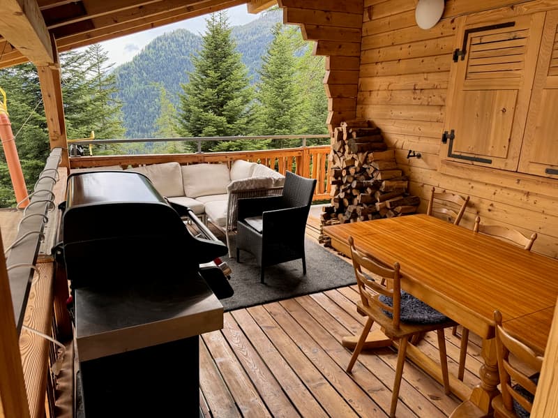 Chalet - 2 apartments - Ovronnaz - EXCLUSIVITY - ref. 10247725 (2)