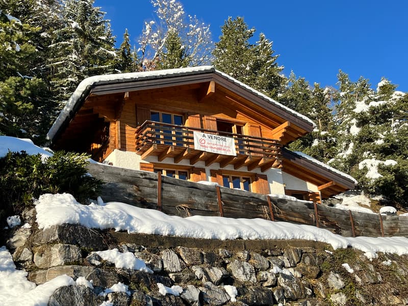 Chalet "Shambhala" - 3.5 rooms and 120 m2 - Aven (Conthey) - EXCLUSIVITY (1)