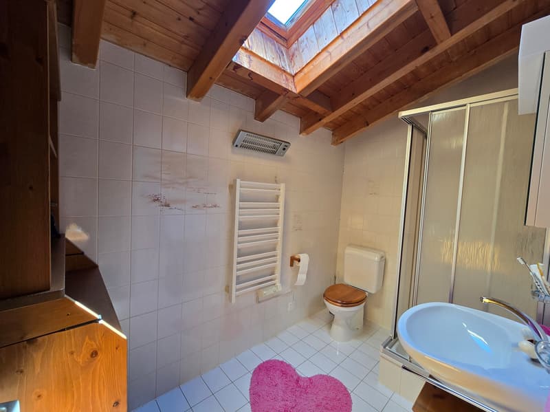 Chalet - 4.5 rooms - Daillet - PRICE NEGOTIABLE - EXCLUSIVITY (13)