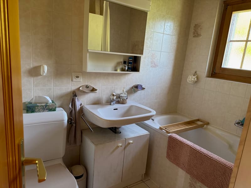 Chalet - 4 rooms - La Garde (Sembrancher) - EXCLUSIVITY (13)