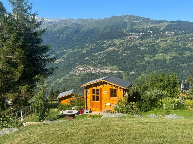 Magnificent Chalet - Exceptional Location - MASE (VAL D'HERENS) (8)