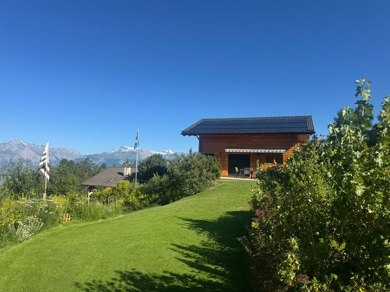 Magnificent Chalet - Exceptional Location - MASE (VAL D'HERENS) (4)