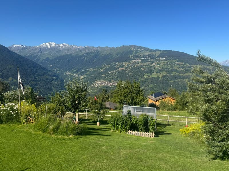 Magnificent Chalet - Exceptional Location - MASE (VAL D'HERENS) (9)