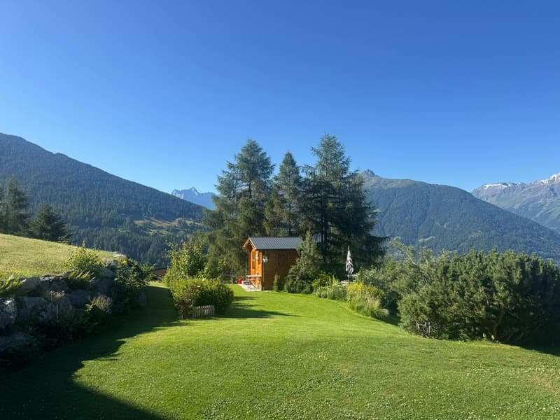 Magnificent Chalet - Exceptional Location - MASE (VAL D'HERENS) (6)