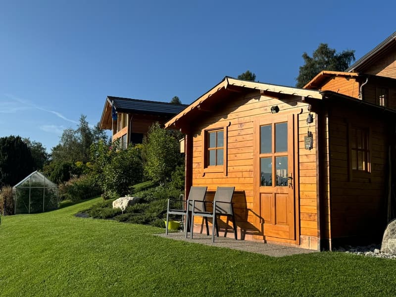 Magnificent Chalet - Exceptional Location - MASE (VAL D'HERENS) (12)