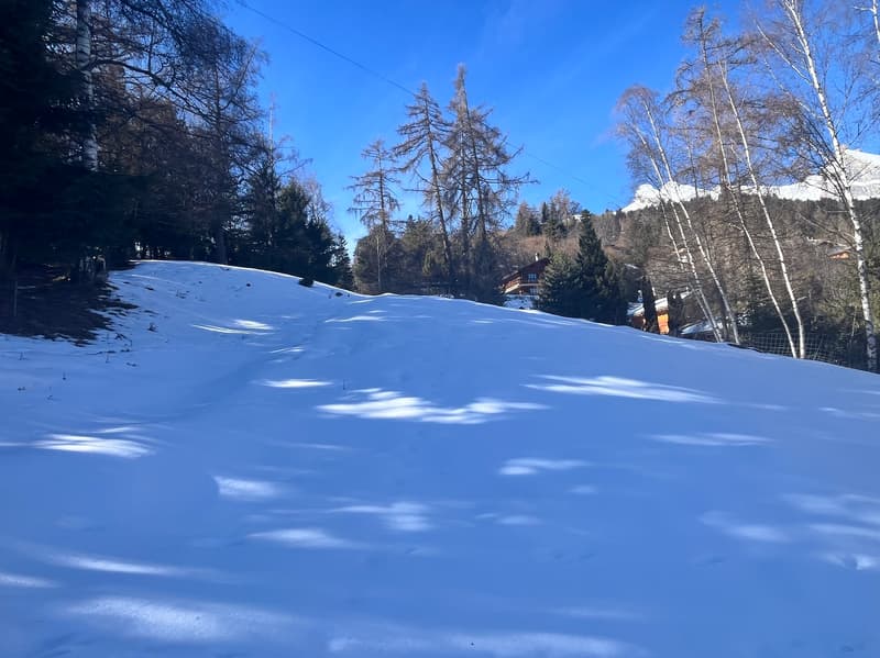 Land / 1'466 m2 / Mayens de Chamoson / Ref. 10265556 / EXCLUSIVITY (3)