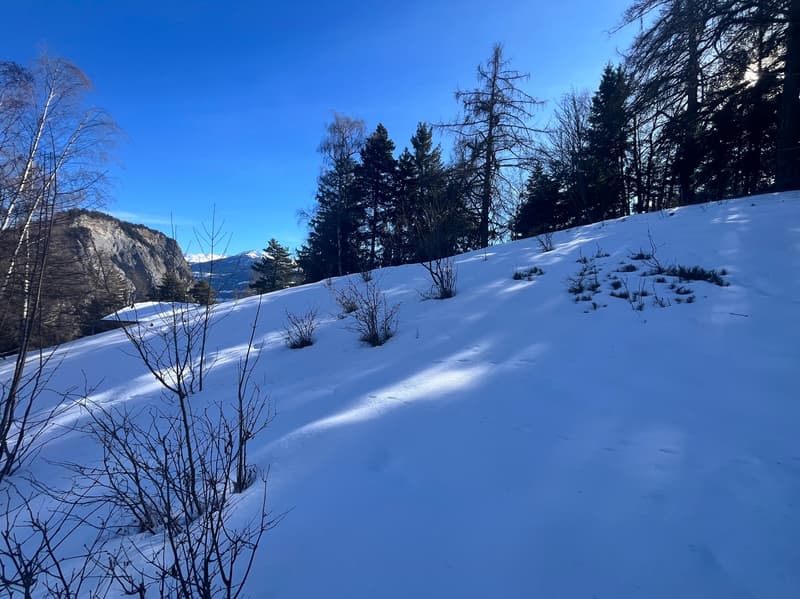 Land / 1'466 m2 / Mayens de Chamoson / Ref. 10265556 / EXCLUSIVITY (6)