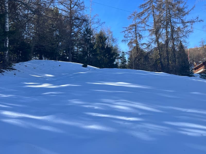 Land / 1'466 m2 / Mayens de Chamoson / Ref. 10265556 / EXCLUSIVITY (2)