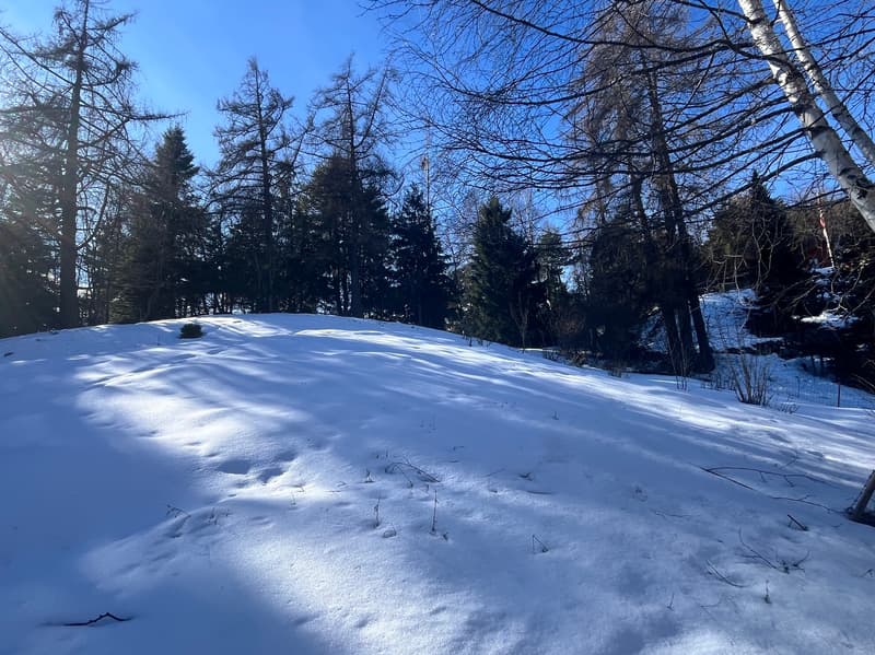 Land / 1'466 m2 / Mayens de Chamoson / Ref. 10265556 / EXCLUSIVITY (4)