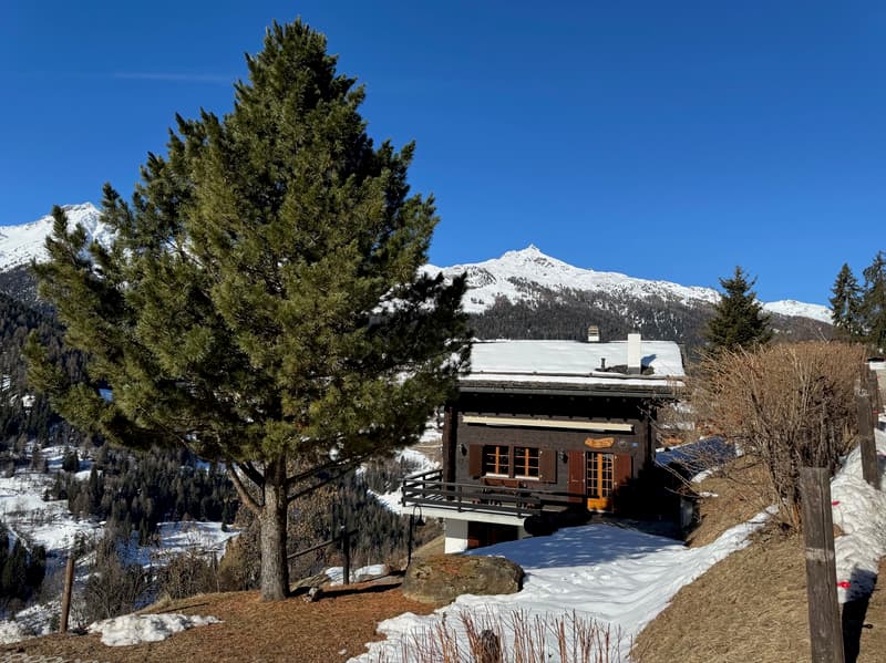 Chalet "Lö Cholec" / Ayer (Anniviers) / ref. 10257755 / Exclusivity (5)
