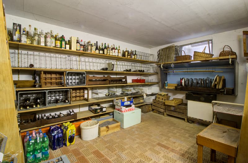 Villa - 2 appartamenti - 1'200 m3 - Vétroz - ESCLUSIVITÀ  - ref. 10262596 (12)
