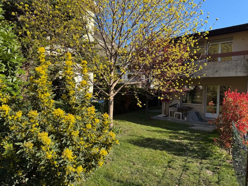 Villa a schiera da ristrutturare - Martigny - riferimento 10262595 - ESCLUSIVA (3)