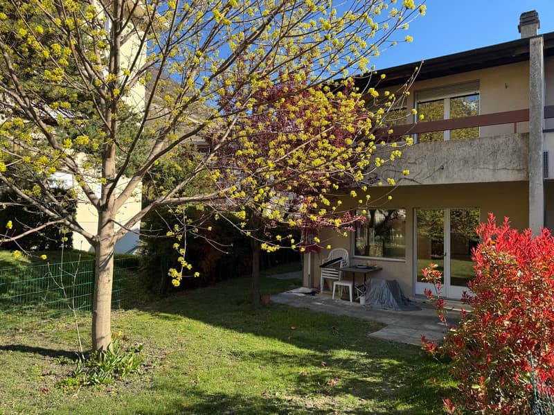 Villa a schiera da ristrutturare - Martigny - riferimento 10262595 - ESCLUSIVA (2)