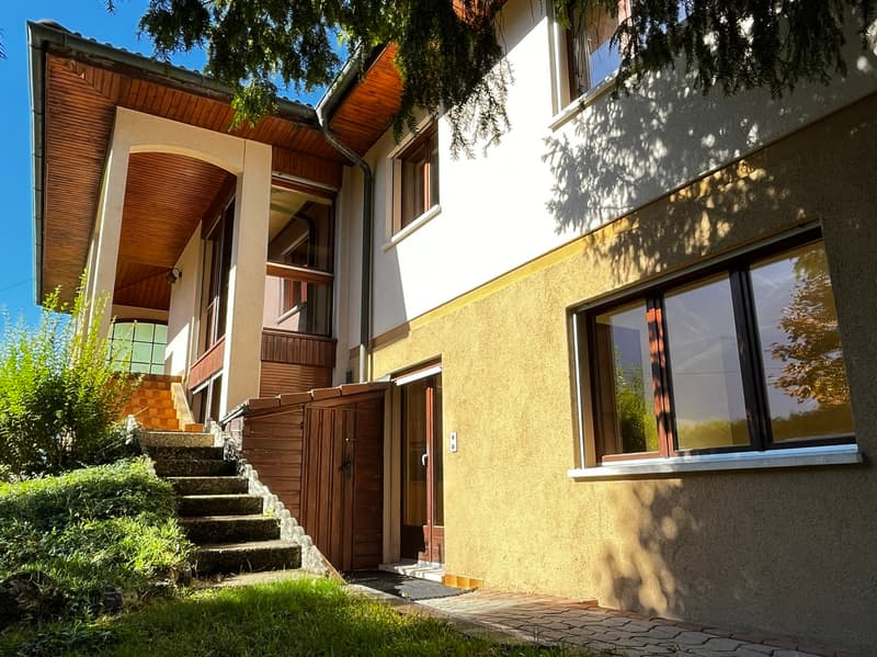 Villa / 2 Appartamenti / 1'735 m3 e Terreno 1'073 m2 / ESCLUSIVITÀ (9)
