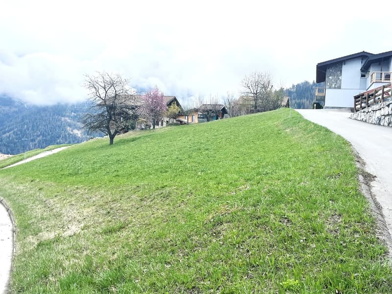 Terrain / 1'064 m2 / Haute-Nendaz / réf. 10265558 / EXCLUSIVITE (1)