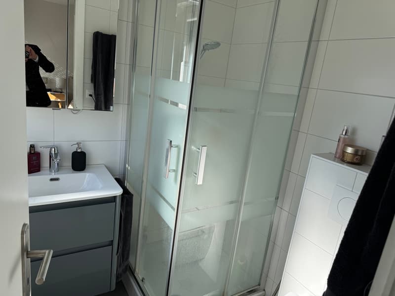 Apartment - 4.5 rooms - SION - 8 minutes from the station - ref. 10264491 (10)