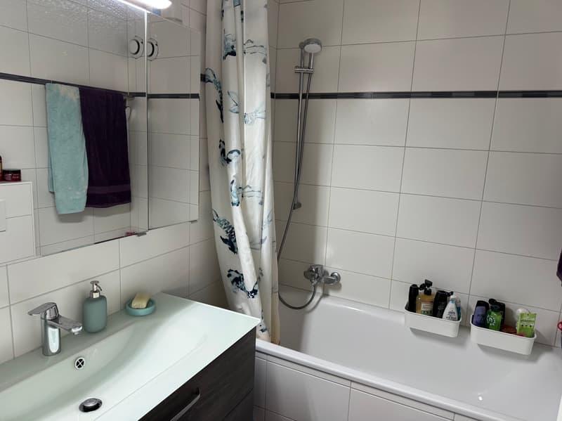 Apartment - 4.5 rooms - SION - 8 minutes from the station - ref. 10264491 (9)