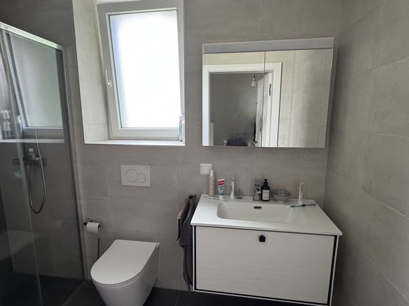 Villa - 5.5 rooms - Available immediately - Pravidondaz (Salins - Sion) (10)