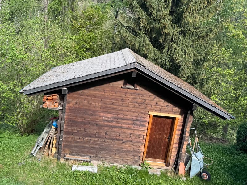 Chalet and small raccard - Euseigne (Val d'Hérens) - EXCLUSIVITY (6)