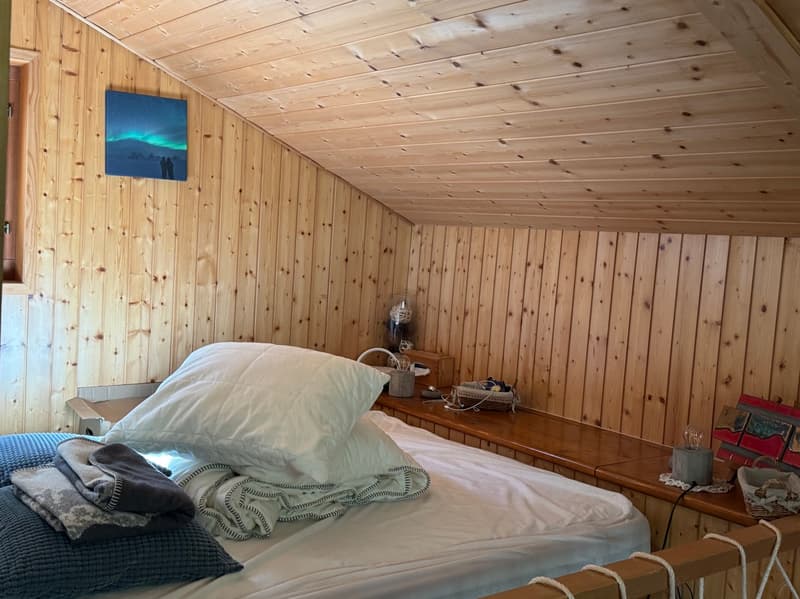 Chalet and small raccard - Euseigne (Val d'Hérens) - EXCLUSIVITY (11)