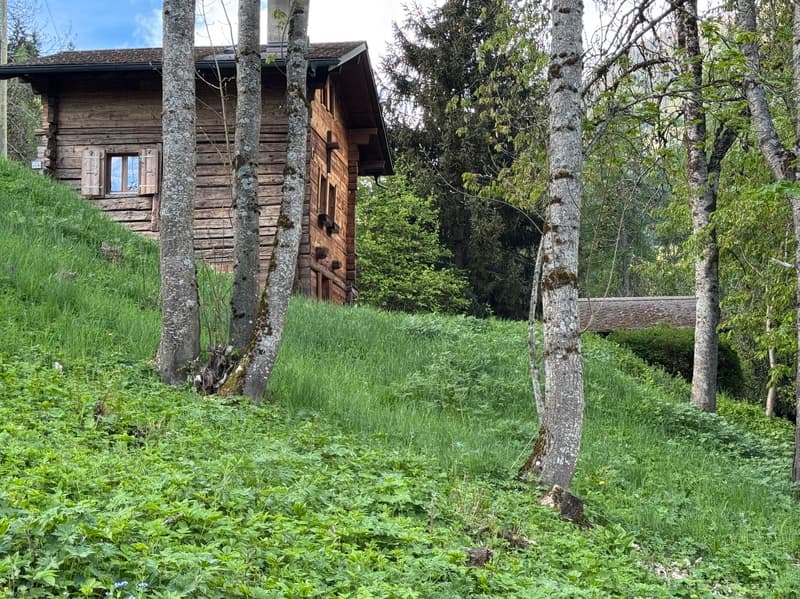 Chalet and small raccard - Euseigne (Val d'Hérens) - EXCLUSIVITY (7)