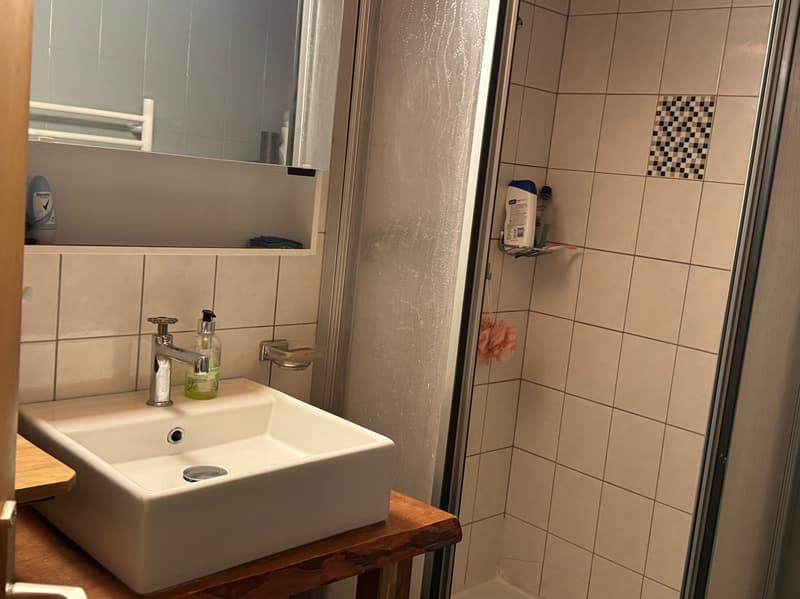 Chalet and small raccard - Euseigne (Val d'Hérens) - EXCLUSIVITY (13)