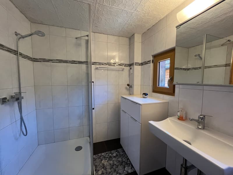 House 6.5 rooms - Lourtier - Main or secondary residence - Exclusive (9)